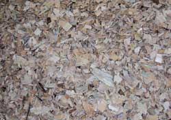 Biomasse : bois déchiqueté