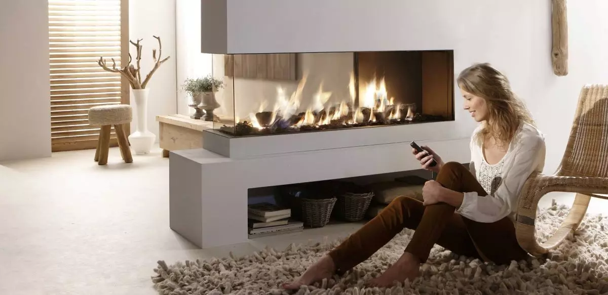 Insert de cheminée fonctionnant au gaz